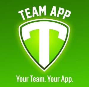Image result for team app